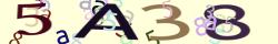 Retype the CAPTCHA code from the image
